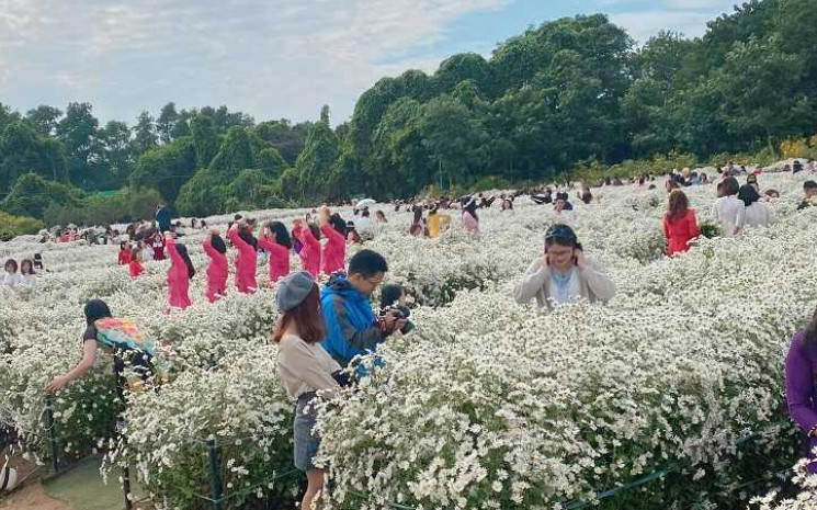 Cẩm nang chuẩn bị đồ đi picnic đầy đủ nhất cho bạn